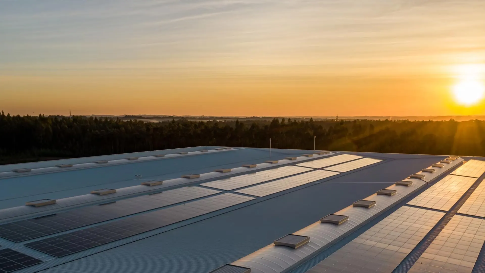 Usina solar ao pôr do sol